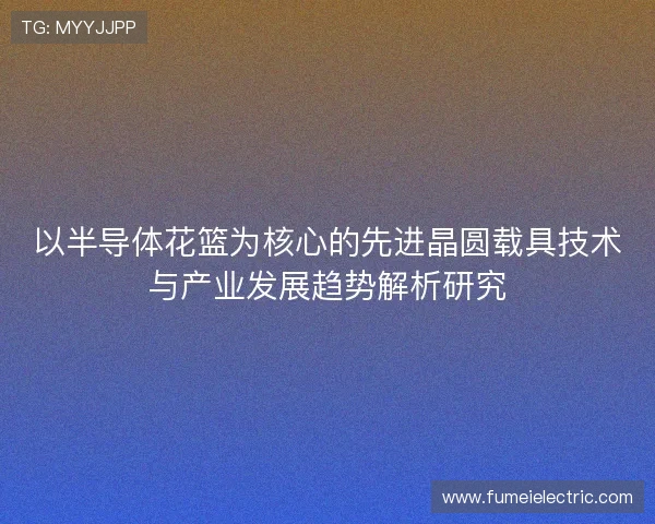以半导体花篮为核心的先进晶圆载具技术与产业发展趋势解析研究 以半导体花篮为核心的先进晶圆载具技术与产业发展趋势解析研究